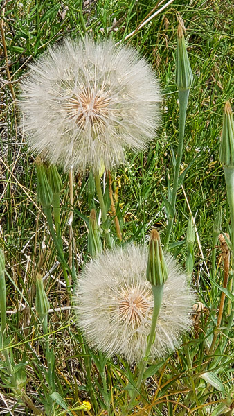 Great Sand Dunes National Park, Colorado